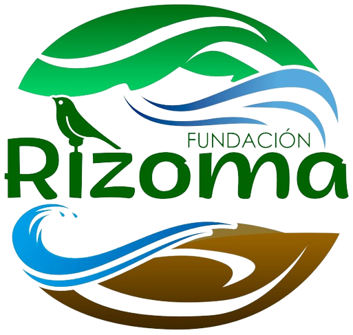 Fundación Rizoma Arg